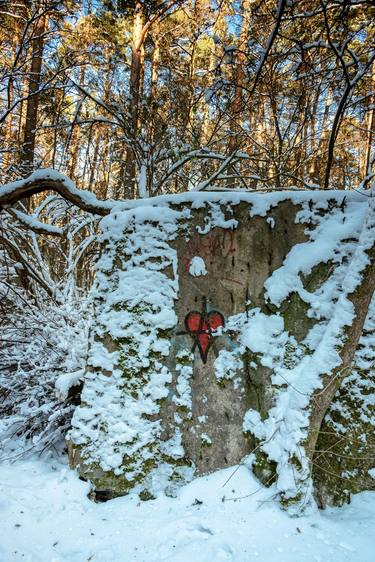 Cover for Lager Koralle