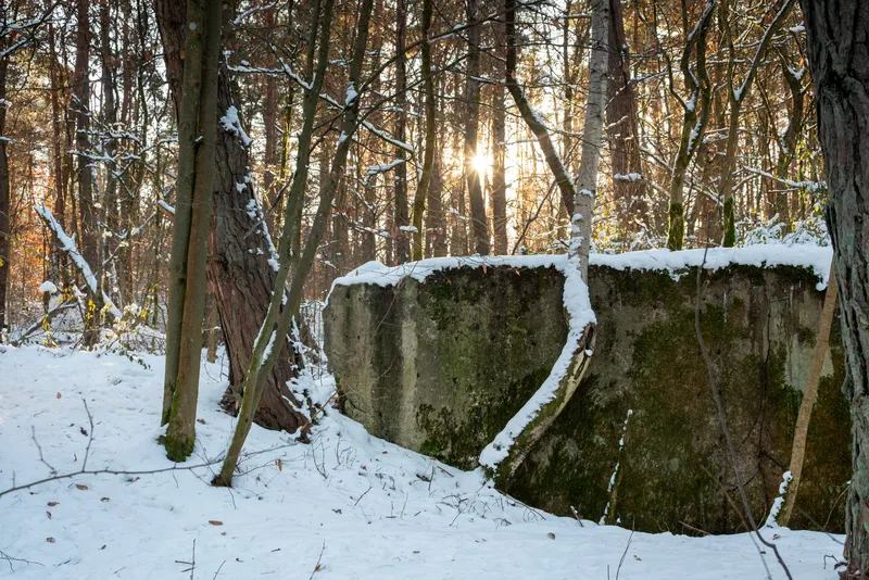 An image from the Lager Koralle collection