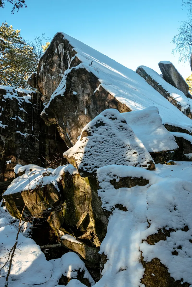 An image from the Lager Koralle collection