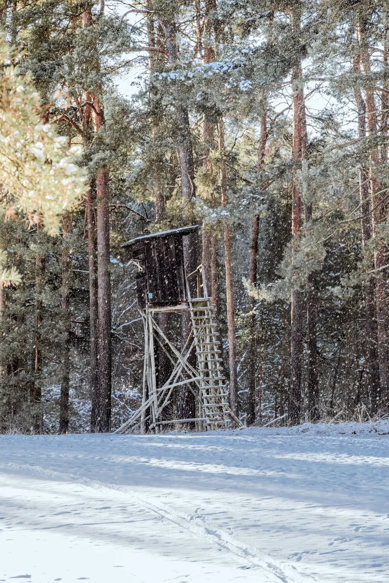 An image from the Lobetal collection