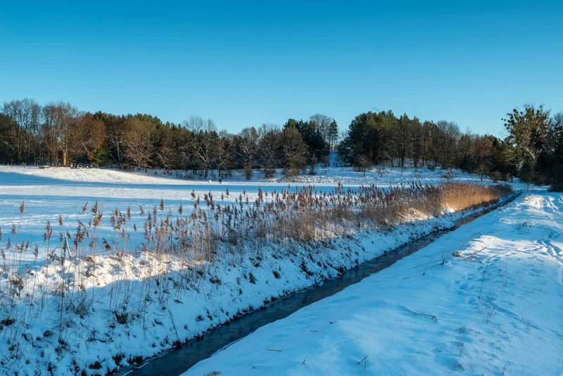 An image from the Lobetal collection