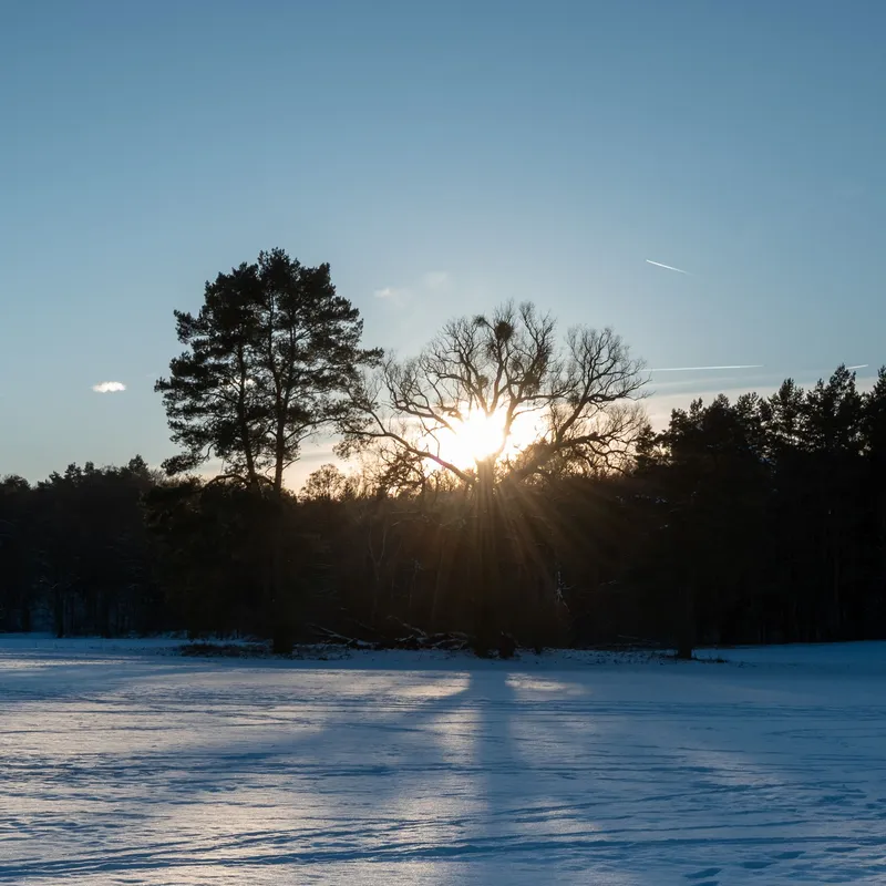 An image from the Lobetal collection