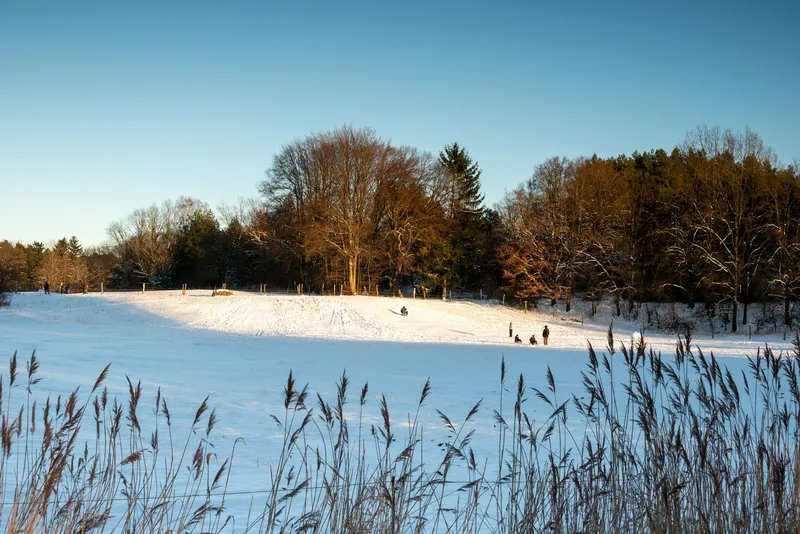 An image from the Lobetal collection