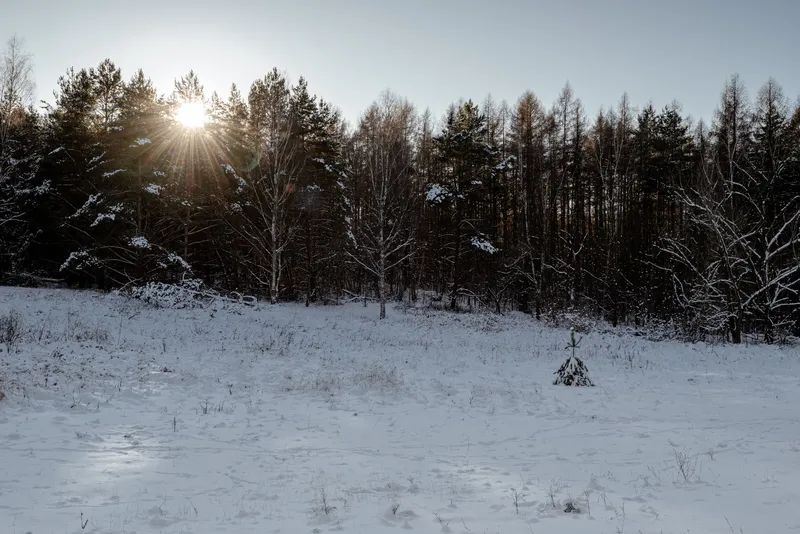 An image from the Lobetal collection