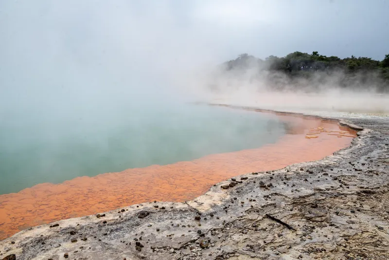 An image from the New Zealand collection