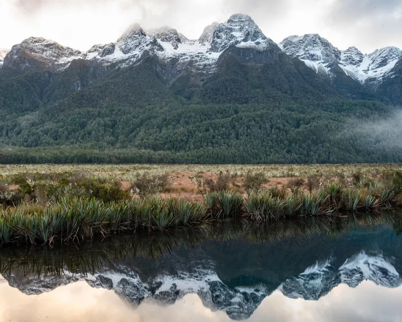 An image from the New Zealand collection