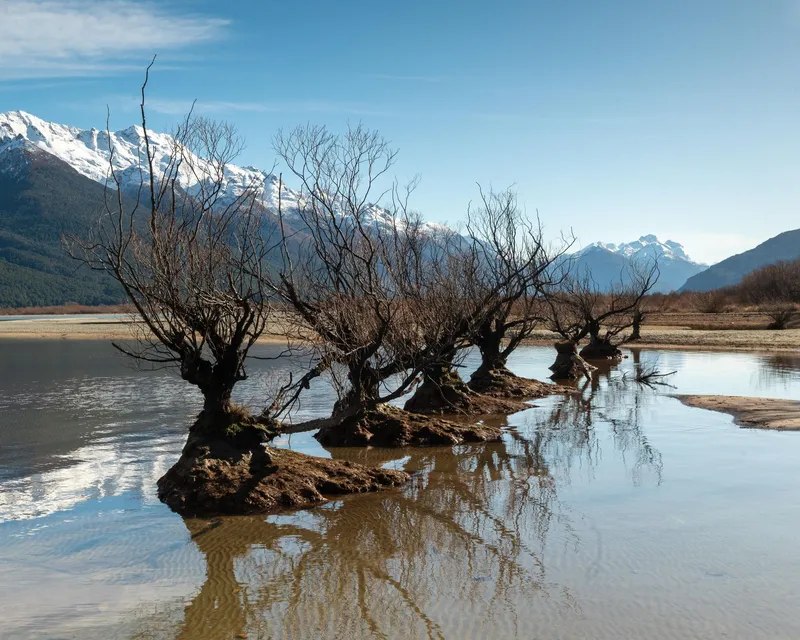 An image from the New Zealand collection