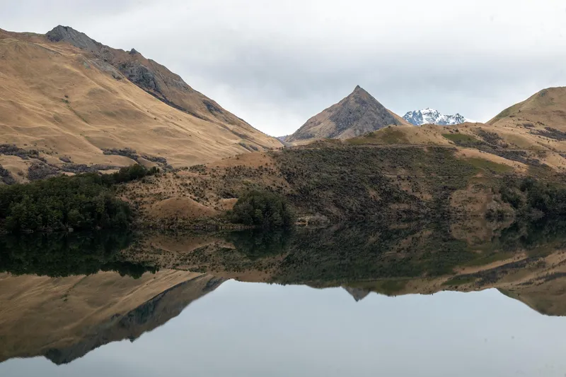 An image from the New Zealand collection
