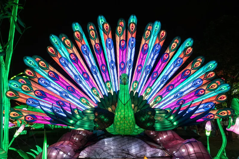 An image from the USA collection