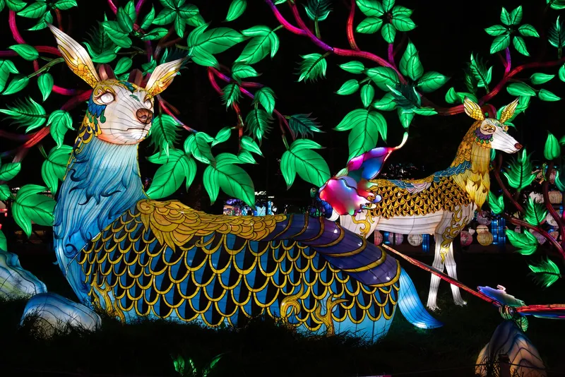 An image from the USA collection